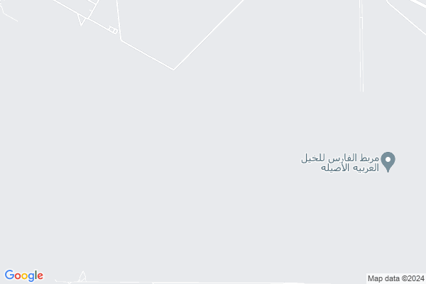 Shobbak Saudi Arabia 98